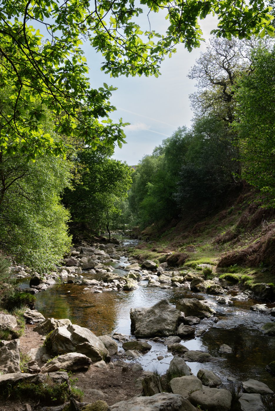 powerscourt waterfall, plus haute cascade d'irlande, dans les wicklow mountains