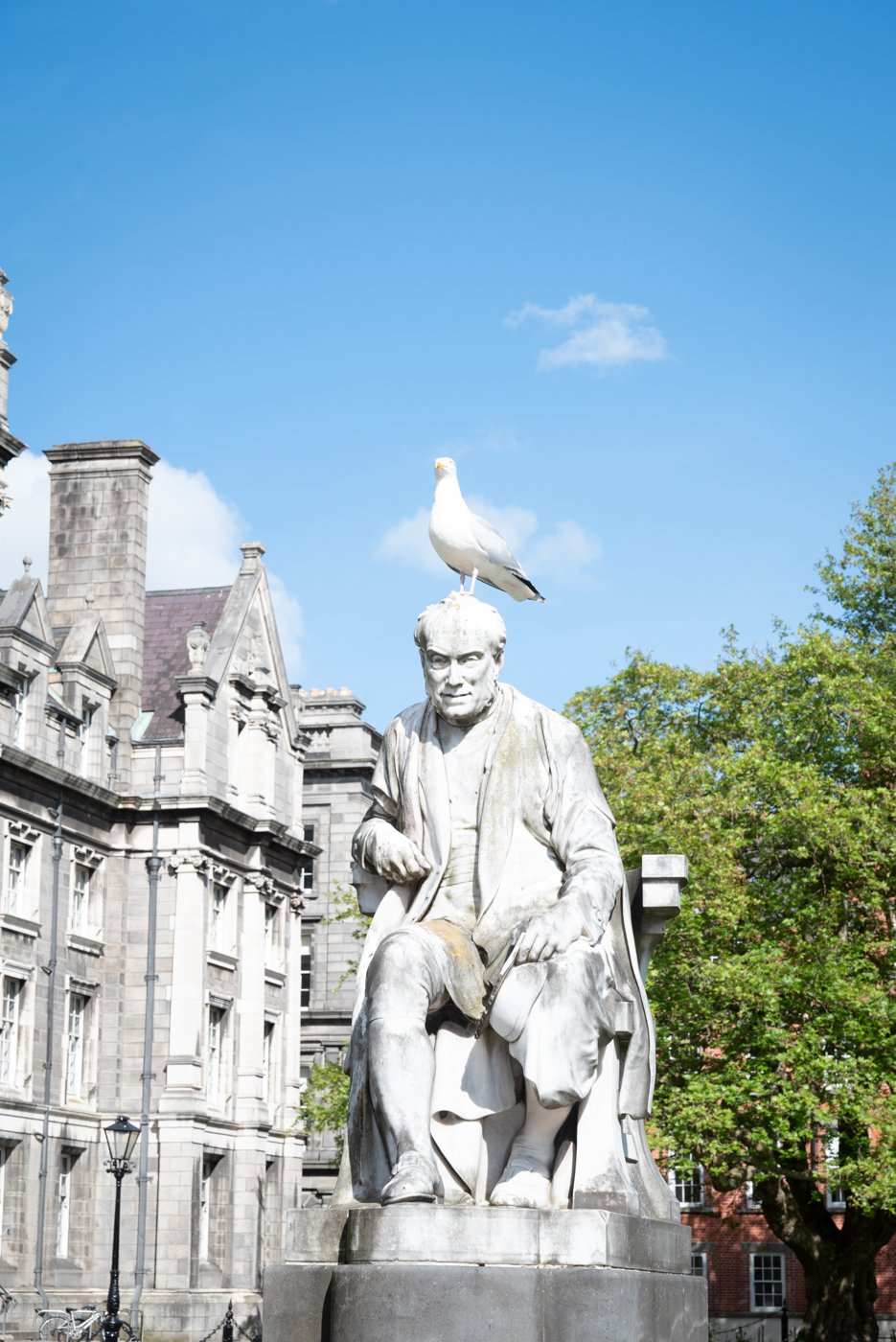 trinity college, université, cour, dublin