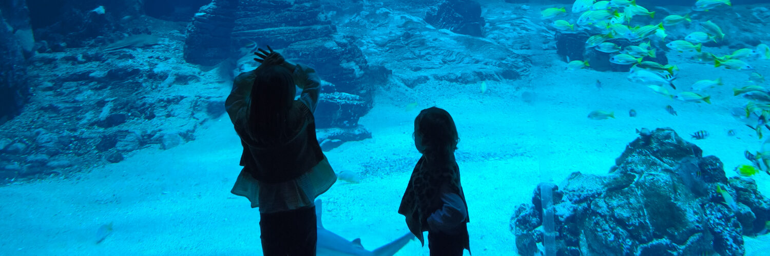 visiter nausicaa à boulogne-sur-mer avec des enfants